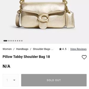 Coach Pillow Tabby-18